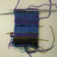 mitten sample