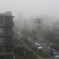 Fog