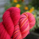 Koigu reds